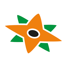 suunnistusliitto kartoitus